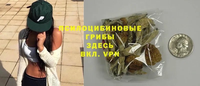 Псилоцибиновые грибы Magic Shrooms  Дзержинск 